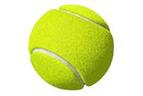 Categorie Mingi de tenis